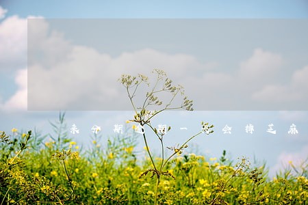来分期逾期一天会掉芝麻分吗 来分期逾期一天会掉芝麻分吗