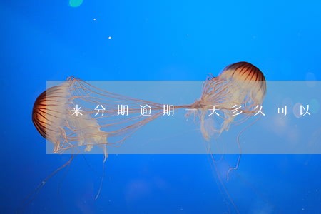 来分期逾期一天多久可以借款 来分期逾期一天多久可以借款