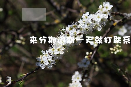 来分期逾期一天就打联系人 来分期逾期一天就打联系人