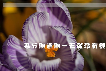 来分期逾期一天就没有额度了吗 来分期逾期一天就没有额度了吗
