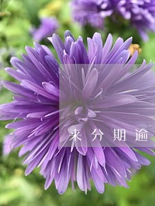 来分期逾期一天就给家人打电话