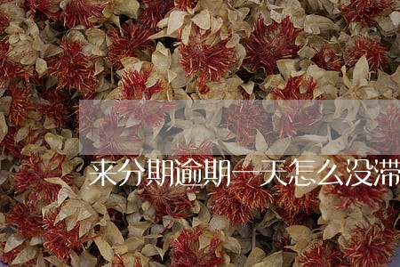 来分期逾期一天怎么没滞纳金 来分期逾期一天怎么没滞纳金