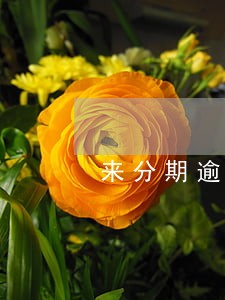 来分期逾期一天老是打电话 来分期逾期一天老是打电话