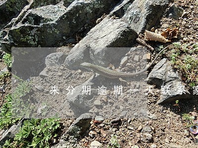 来分期逾期一天联系家人 来分期逾期一天联系家人