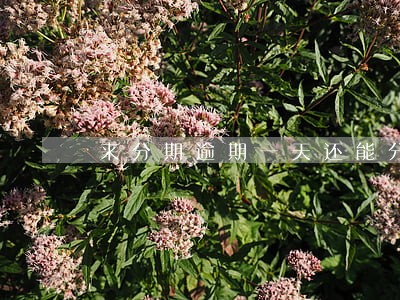 来分期逾期一天还能分期手机么 来分期逾期一天还能分期手机么