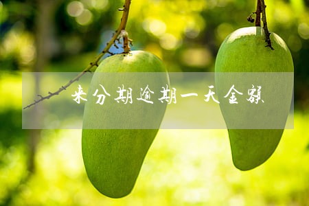 来分期逾期一天金额 来分期逾期一天金额