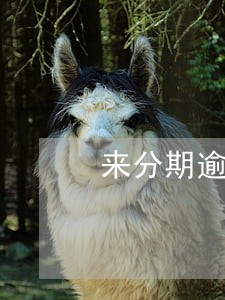 来分期逾期一年为什么不上征信 来分期逾期一年为什么不上征信