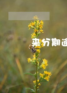 来分期逾期一年了说要立案 来分期逾期一年了说要立案