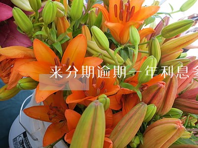 来分期逾期一年利息多少钱 来分期逾期一年利息多少钱