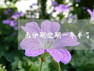 来分期逾期一年半了 来分期逾期一年半了