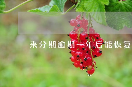 来分期逾期一年后能恢复吗 来分期逾期一年后能恢复吗