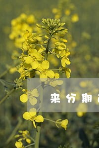 来分期逾期一年多了 来分期逾期一年多了