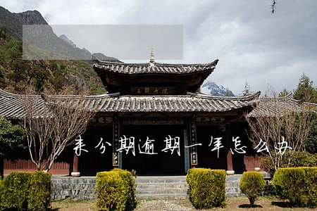 来分期逾期一年怎么办