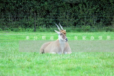 来分期逾期一年能办信用卡吗