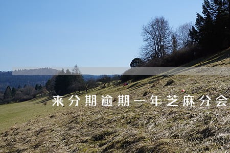 来分期逾期一年芝麻分会降吗 来分期逾期一年芝麻分会降吗