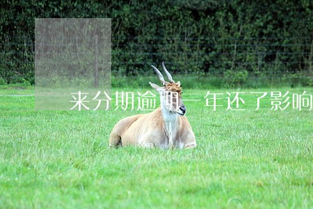 来分期逾期一年还了影响买房吗 来分期逾期一年还了影响买房吗