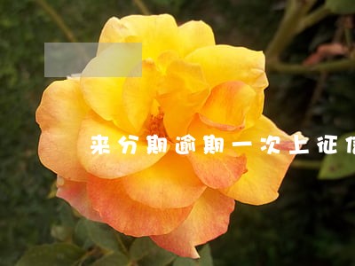 来分期逾期一次上征信 来分期逾期一次上征信