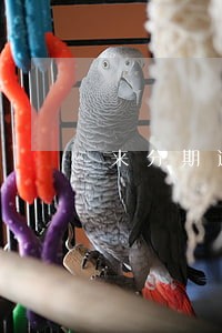 来分期逾期一次不能用了 来分期逾期一次不能用了