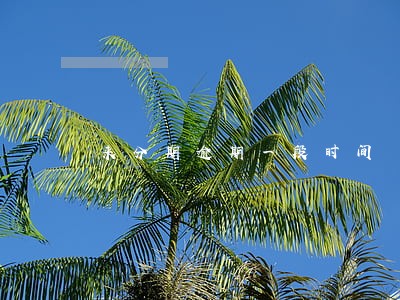 来分期逾期一段时间 来分期逾期一段时间