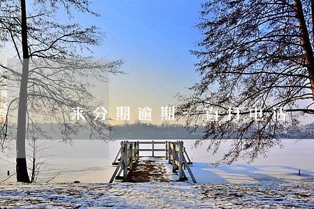 来分期逾期一直打电话 来分期逾期一直打电话
