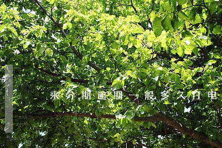 来分期逾期一般多久打电话 来分期逾期一般多久打电话