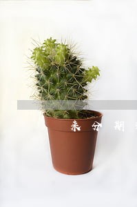 来分期逾期三个月会干嘛 来分期逾期三个月会干嘛