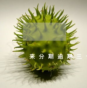 来分期逾期三个月会怎样 来分期逾期三个月会怎样