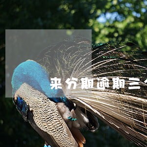 来分期逾期三个月可 来分期逾期三个月可