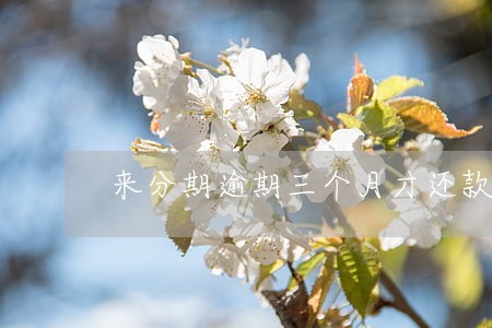 来分期逾期三个月才还款会怎样 来分期逾期三个月才还款会怎样