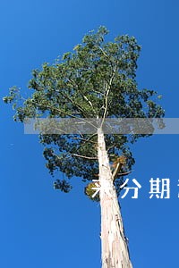 来分期逾期三个月没有爆通信录 来分期逾期三个月没有爆通信录