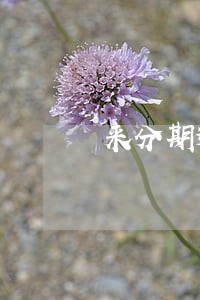 来分期逾期三千多一个月 来分期逾期三千多一个月