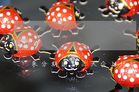 来分期逾期三天会上传征信吗 来分期逾期三天会上传征信吗