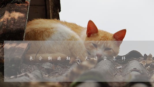 来分期逾期三天还会怎样