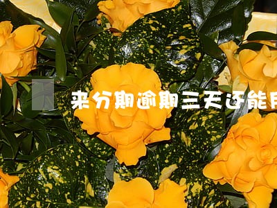 来分期逾期三天还能用吗