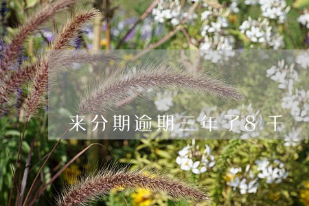 来分期逾期三年了8千 来分期逾期三年了8千