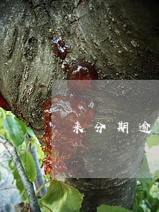 来分期逾期三年会成黑户