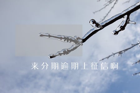 来分期逾期上征信啊 来分期逾期上征信啊