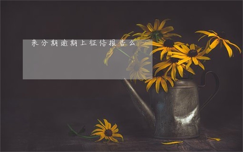 来分期逾期上征信报告么 来分期逾期上征信报告么