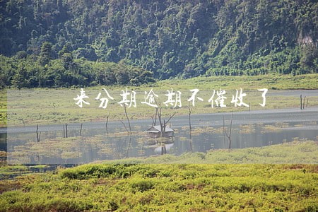 来分期逾期不催收了 来分期逾期不催收了
