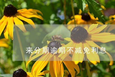 来分期逾期不减免利息 来分期逾期不减免利息