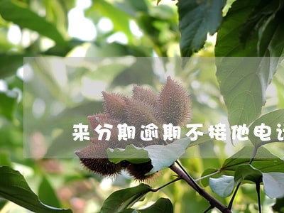 来分期逾期不接他电话 来分期逾期不接他电话