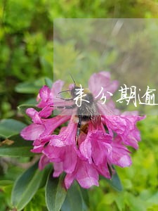 来分期逾期两万利息 来分期逾期两万利息