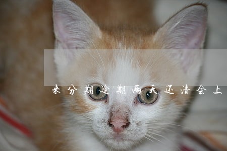 来分期逾期两天还清会上征信吗 来分期逾期两天还清会上征信吗
