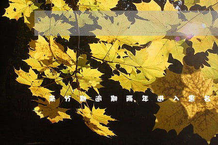 来分期逾期两年进入黑名单了吗 来分期逾期两年进入黑名单了吗