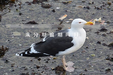 来分期逾期两月 来分期逾期两月