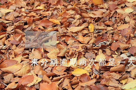 来分期逾期两次都是一天 来分期逾期两次都是一天