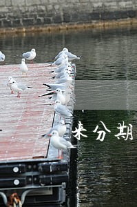 来分期逾期为什么不上征信记录 来分期逾期为什么不上征信记录