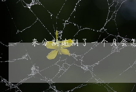 来分期逾期了一个月会怎么样 来分期逾期了一个月会怎么样
