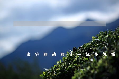 来分期逾期了一年多怎样查多少 来分期逾期了一年多怎样查多少