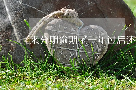 来分期逾期了一年过后还能借嘛 来分期逾期了一年过后还能借嘛
